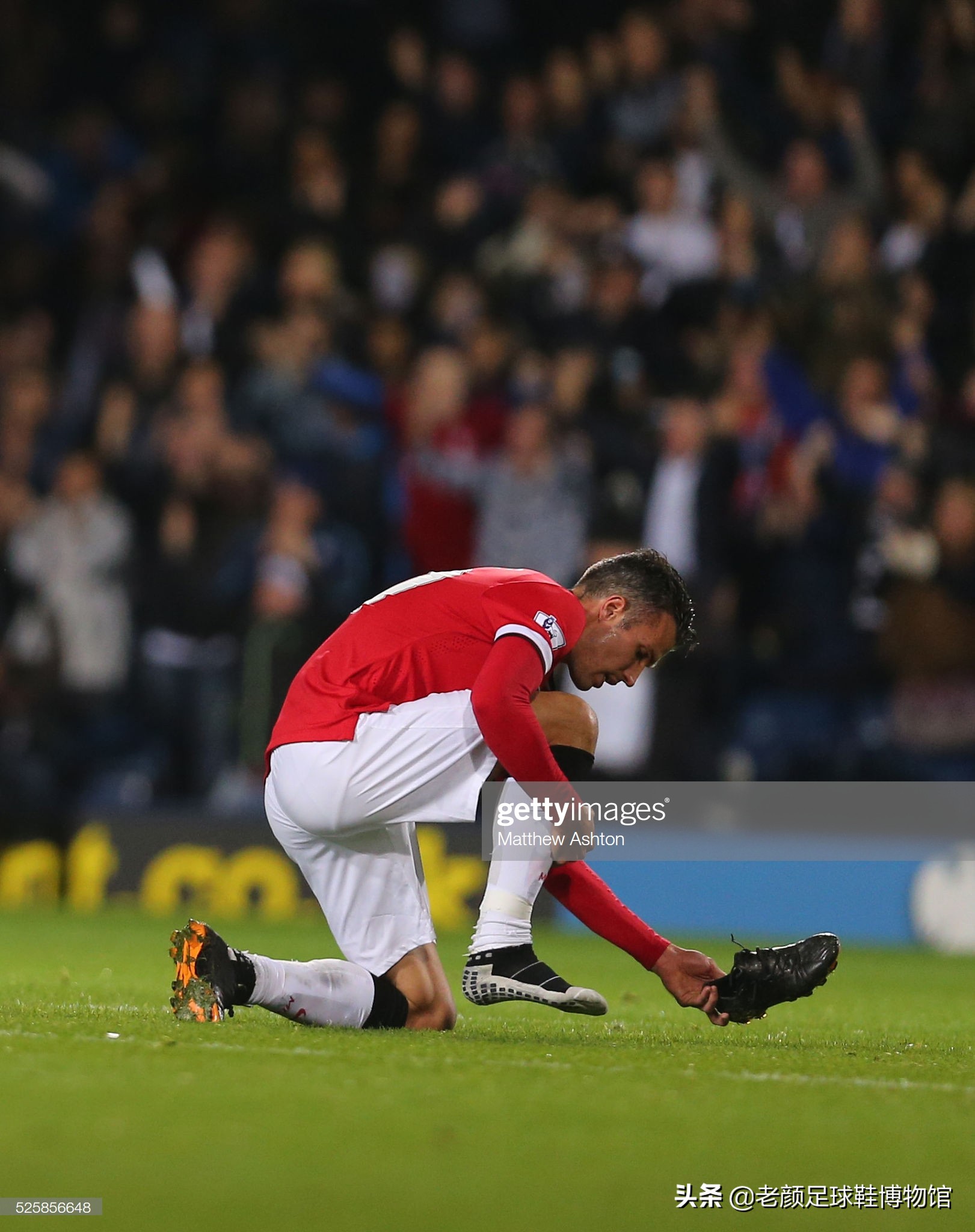 体网球发展 体网球发展