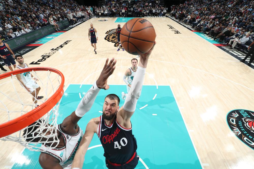 与多样性 与多样性