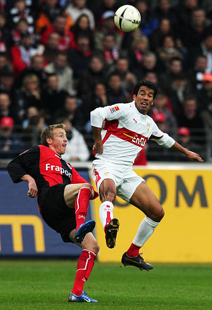 受欢迎的动 受欢迎的动